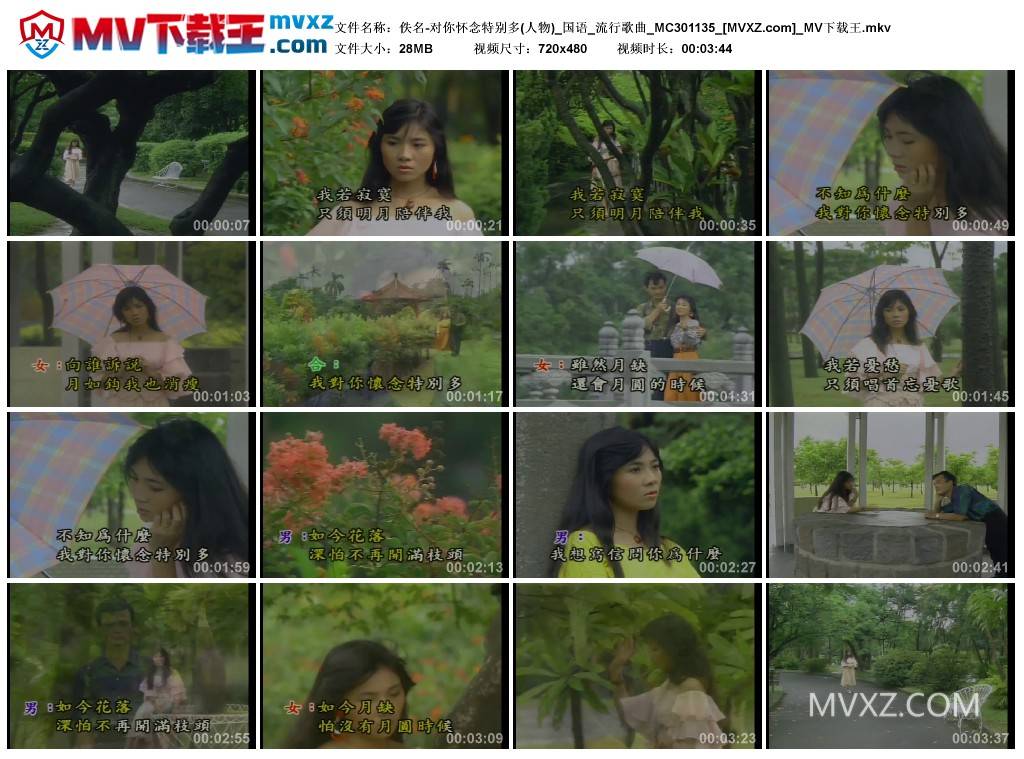 佚名-对你怀念特别多(人物)_国语_流行歌曲_MC301135